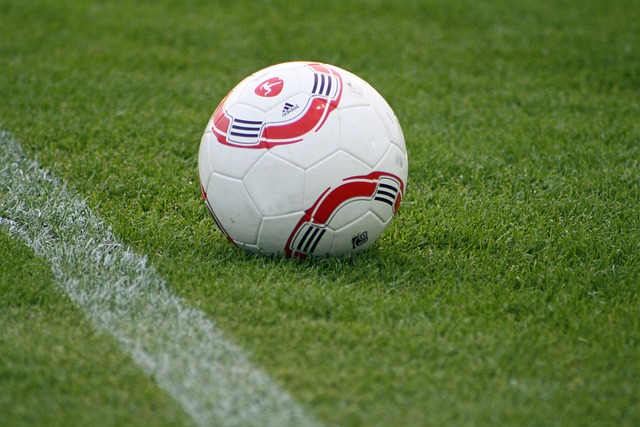 学反应良好 学反应良好