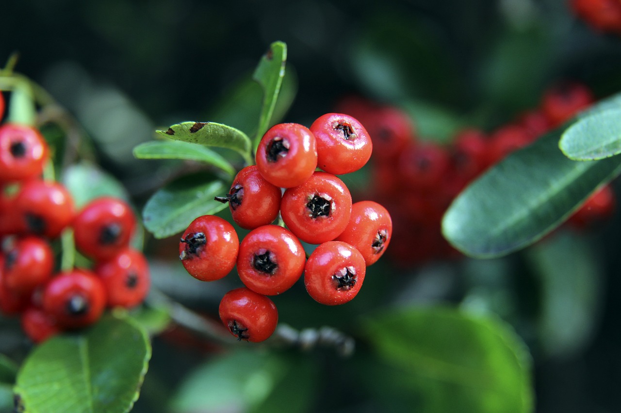 设备接收A 设备接收A