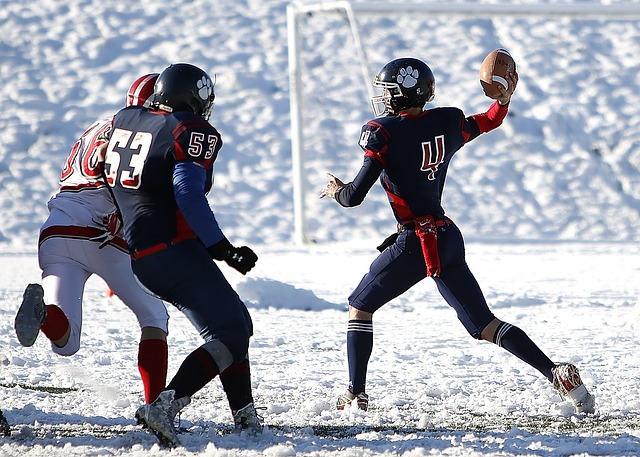 季快船起伏 季快船起伏