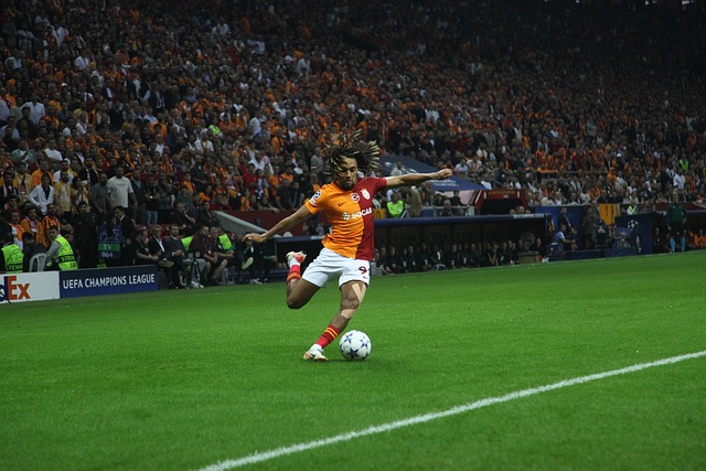 态的变化都 态的变化都