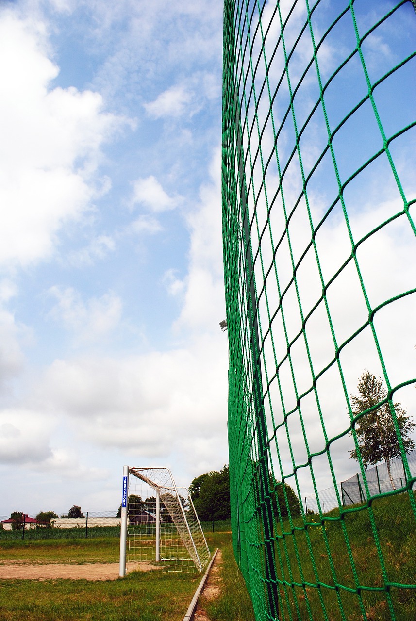 抗的一部分 抗的一部分