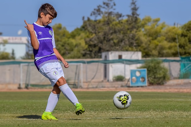 對於劉禮嘉 對於劉禮嘉