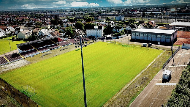 吸引了观众 吸引了观众